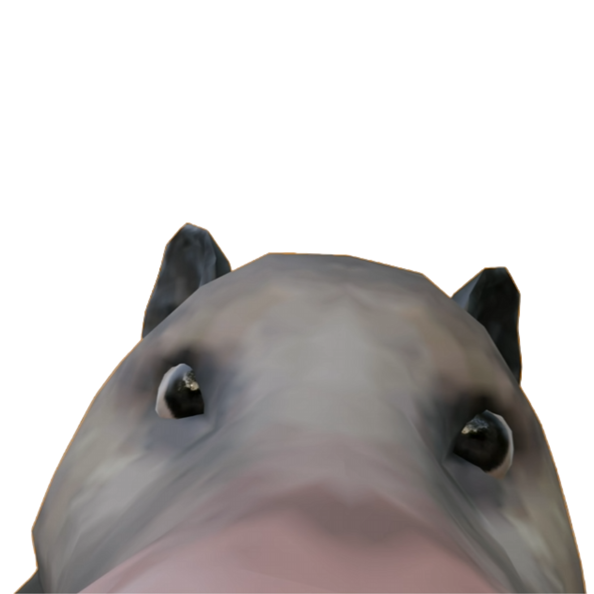 Une mascotte sympathique